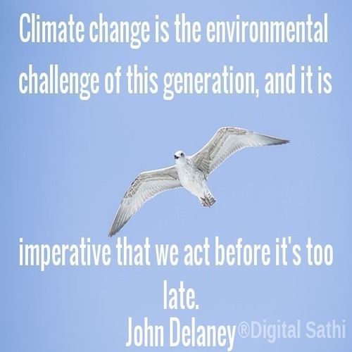 Quotes About Environment