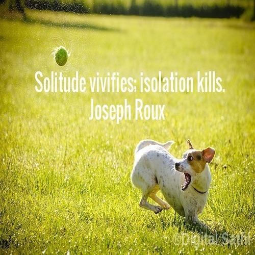Solitude vivifies; isolation kills.