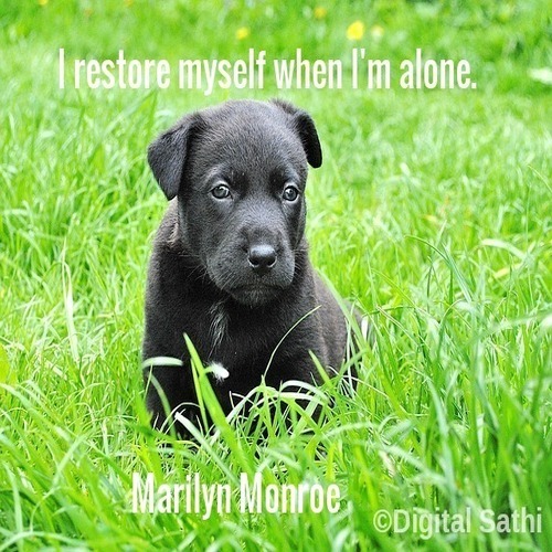 Quote About Alone